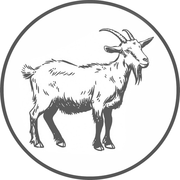 Carpathian Wool