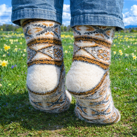 Person wearing patterned socks standing in a field of flowers with a blue sky.