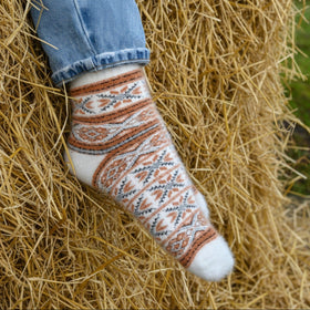 Patterned sock on a wooden bench with grass in the background