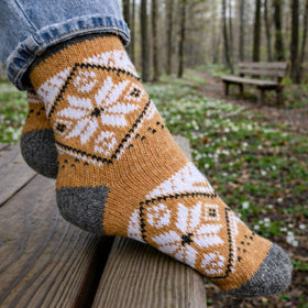 Person wearing a patterned sock in a forest setting